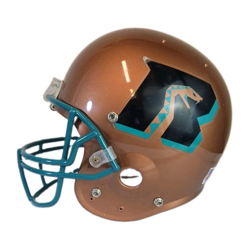 Arizona rattlers arena - arena, league
