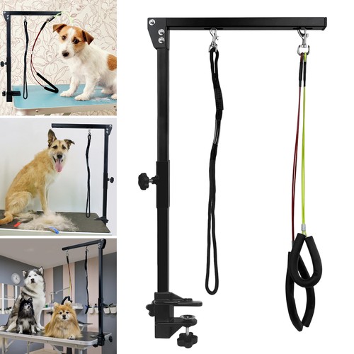 Pet grooming bracket - grooming,
