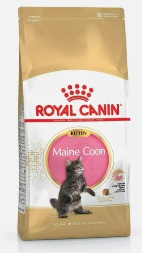 Royal canin maine - canin, kitten