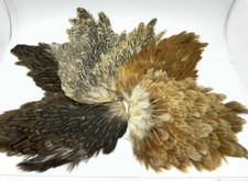 hen capes natural colours for