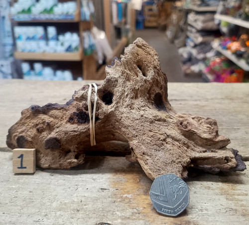 Small mopani wood 27cm - small,