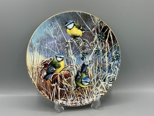 Coalport winter bluetit frosty - winter,