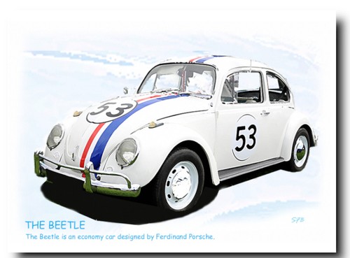 Herbie beetle car - beetle,