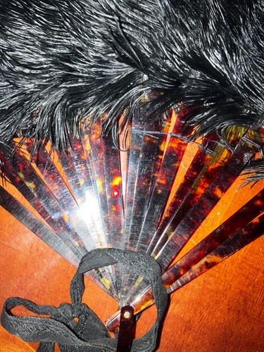 Art deco antique tortoishell