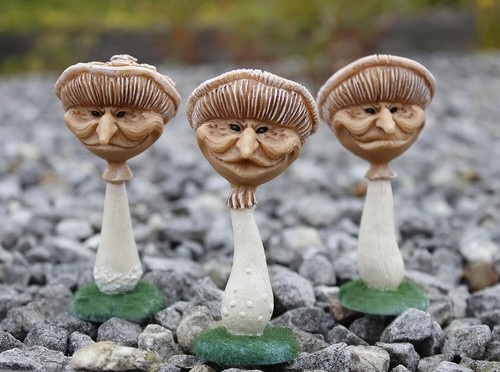 Garden mushroom toadstool - garden,