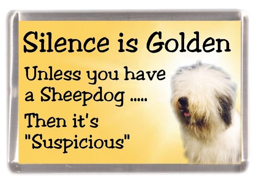 Old english sheepdog - old,
