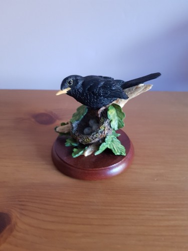 Border fine arts blackbird - arts,,