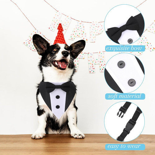 Dog tuxedo wedding bandana - dog,