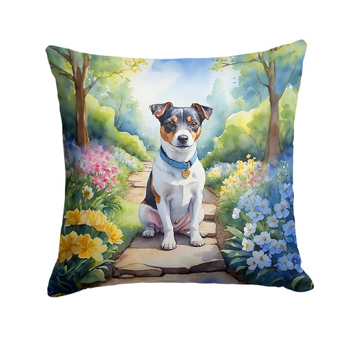 Jack russell terrier tricolor - terrier,
