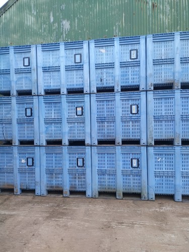 Extra large pallet - extra,