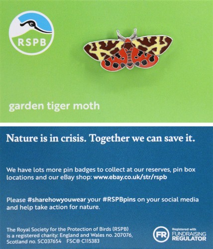 Rspb pin badge - badge, niic