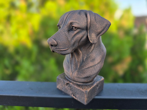German shorthaired pointer - german,