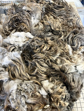 5lbs Navajo Churro Spinning Sheep Wool Weaving Raw Wool fiber fleece hair locks