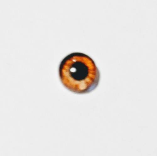 6mm glass cabachon eyes - , great