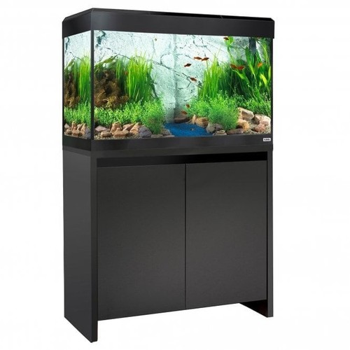 Fluval roma 125 - roma,