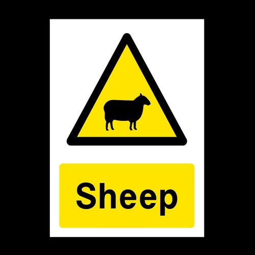 Sheep plastic sign metal - sheep, sign,