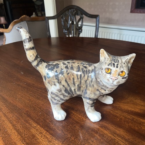 Winstanley cat size - cat, 5