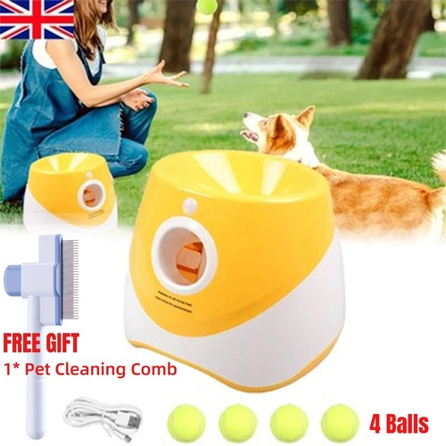 Dog automatic ball launcher - dog,
