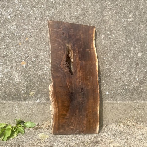 English walnut live edge slab - live,