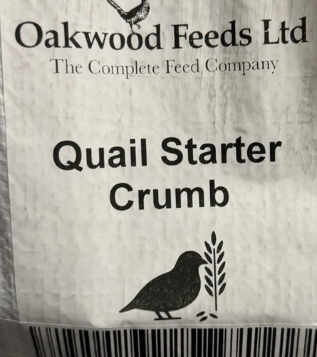 Oakwood quail chick high - oakwood,