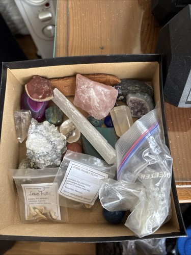 Assorted crystals and fossil - and,
