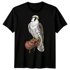 Falconry Falcon Bird Of Prey