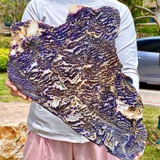 5.53LB Zebra Marble End Plate Cabbing Lapidary Carved Spiritual Chakra Utah