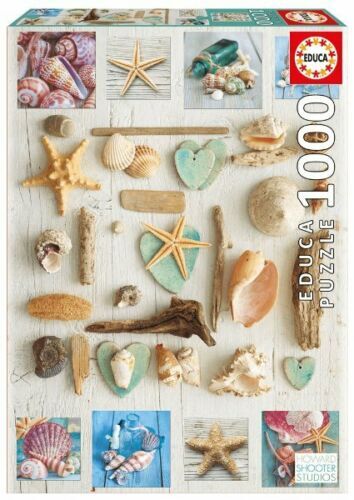 Seashells collage jigsaw - seashells,