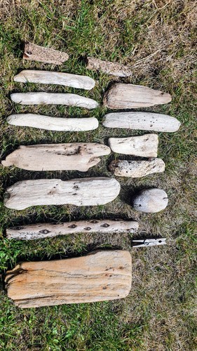 Lovely collection driftwood - lovely, of