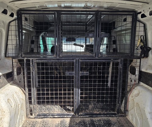 Dog walker van - dog,