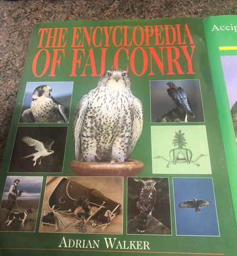 Falconry book for - book,
