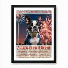 The Boston Terrier, America's