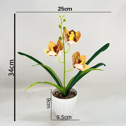 Piece cymbidium orchid - 3,