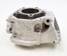 Senior Rotax Max EVO VT Kart