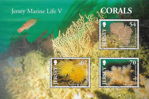 Jersey marine life corals - marine,