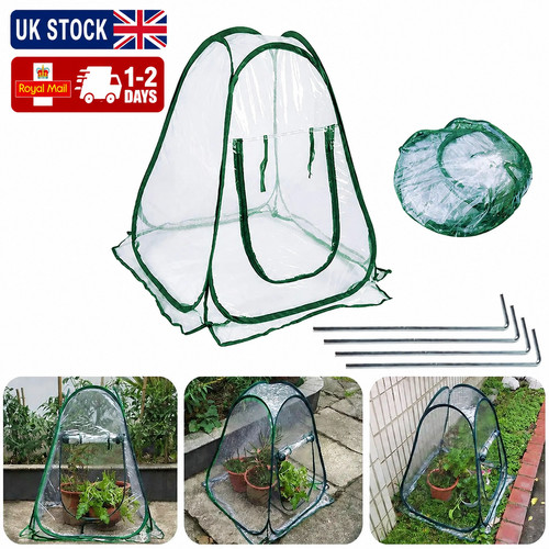Mini greenhouse tent popped - popped, up