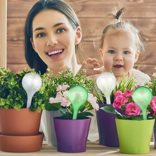 10x plant self watering - 10x,