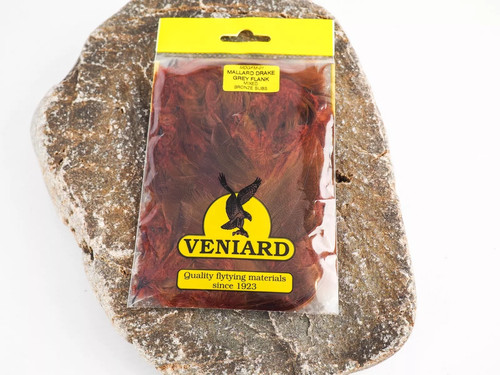 Veniard mallard drake - veniard, grey