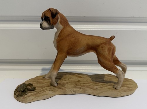 Heredities boxer dog beach - dog,