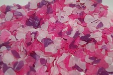 Biodegradable Confetti -