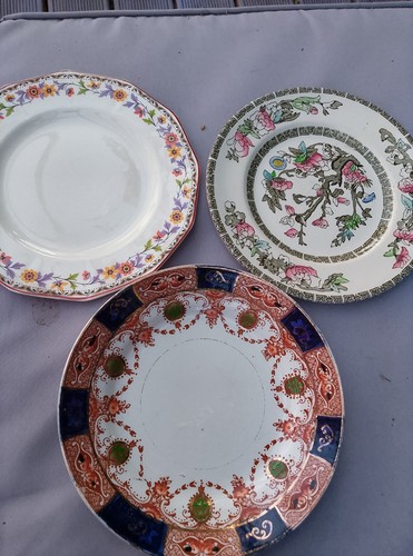 Plates indian tree - plates., 2