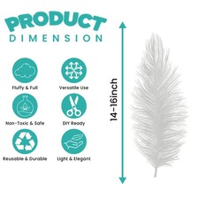 35cm-40cm Large Ostrich