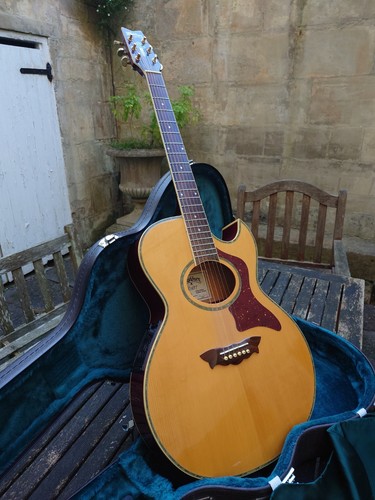 Washburn ea27 greg allman - washburn,