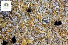 NO GROW SONGBIRD WILD BIRD FOOD SEED MIX WITH RAISINS NO MESS / HUSK FREE