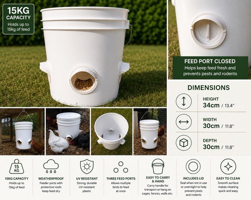 Chicken poultry feeder - chicken,