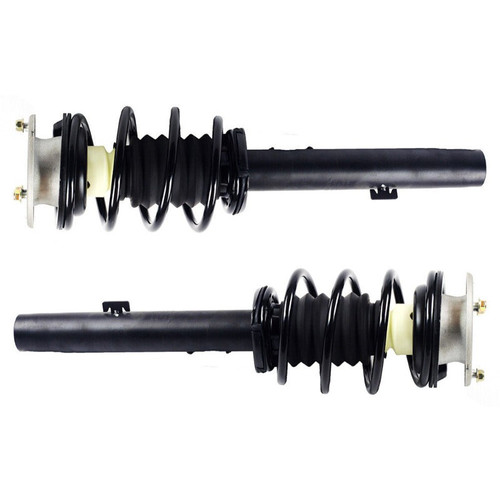 Front complete shock strut - front,