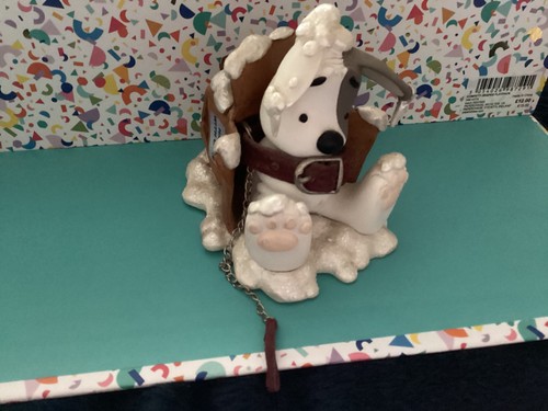 Lost dog out - in, the