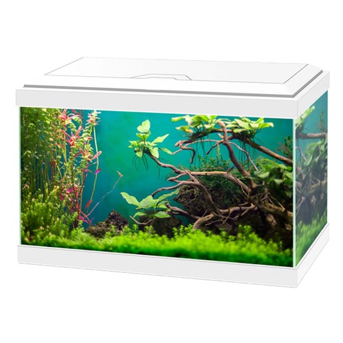 Ciano aqua classic - aqua,