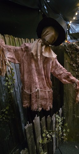 Halloween animated life size - animated,