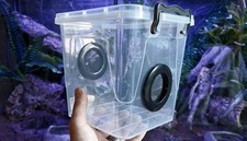 Praying Mantis, Stick Insect